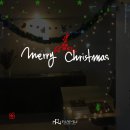 주식회사 나무인터내셔널 이미지