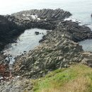 양남주상절리 이미지