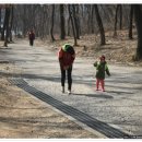 2015 아이숲유치원 '봄여름숲느끼기'오리엔테이션~ 만나서 반가워요^^ 이미지
