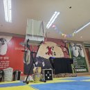 양양 태권도장 이미지