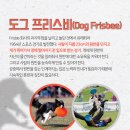 도그플러스 동물병원 이미지