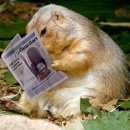 폴레폴레 이미지