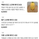 핸드메이드공방앵두호두 | 나만 알고 싶은 옥리단길 숨은 맛집, 옥빛플레이스 내돈내산 후기