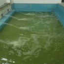 세정 사우나 이미지