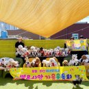 사림동253 이미지