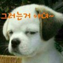같이 Daum카페