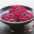 동굴모텔 이미지