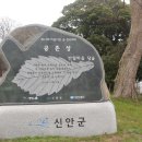 천사의수화