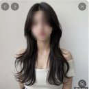고은미용실 | 살롱고은 :: 가성비 좋은 서현역 미용실, 유진실장님 시술 후기