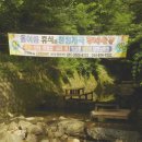 두메산골촌닭 이미지