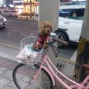 침산이튼튼치과 이미지