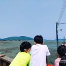 쥬라기카라반