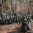 아우라지의 풍경 이미지