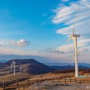 배구목장 이미지