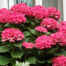 유원초등학교 이미지