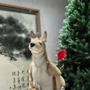 강남/삼성 클라이밍, '온플릭클라이밍짐 삼성점' 방문 후기