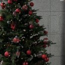 2022.12
