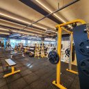 몸스타휘트니스 이미지