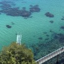 천곡농장 이미지