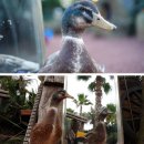 미문농장 이미지