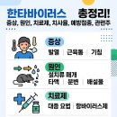 안데스트레이딩 | 한타바이러스 증상, 원인, 치료제 ,치사율, 예방접종, 관련주, 대장주, 수혜주 총정리(GC녹십자, 한타박스)
