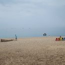 바다정원 이미지