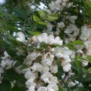 지호농장 이미지