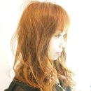 골드앤브라운