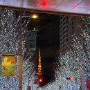 6.25.덱스포 전시 | 2025 도쿄 여행 기록(Day2)