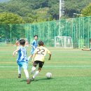 서산시, 2024 서산시장배 국제 유소년 축구대회 개최(김면수의 정치토크) 이미지