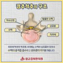 경희중앙한의원 네이버블로그