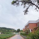 남부생활체육공원 족구장 이미지