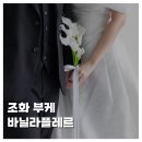 [WEDDING]블랑드윈느 웨딩촬영 조화부케 바닐라플레르 추천 내돈내산 후기