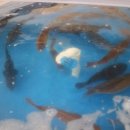 착한어시장 이미지