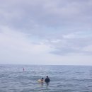 제뉴어리 민박 이미지