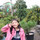 오등체험민박 이미지