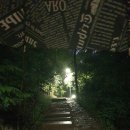 비타민나무의원 이미지