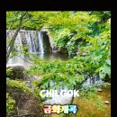 금화애견 이미지