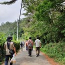 산유골 수목정원 이미지