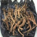 별마을농장 이미지