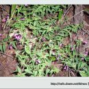 신불산온천 이미지