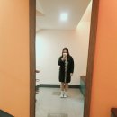 야시디팡 이미지
