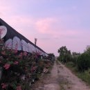 호철농장 이미지