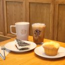 아메리카노 | 커피빈 메뉴 추천 ☕ 아메리카노 후기 및 할인 꿀팁