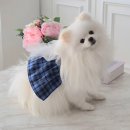 러블리마이펫 이미지