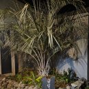 귤림재 | 제주도 가성비 독채 숙소 추천 [귤림재] 내돈내산 후기