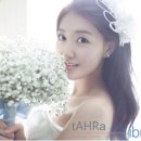 공간타라 이미지