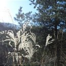 수산리-11 이미지