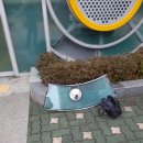 대화동 공중화장실 이미지