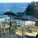 까페 하비비 이미지